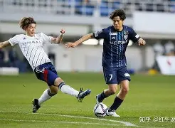 关于甘冈主场战胜对手，全队表现出色的信息